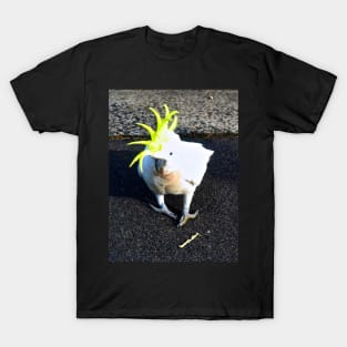 The Sulphur Crested Cockatoo ! T-Shirt